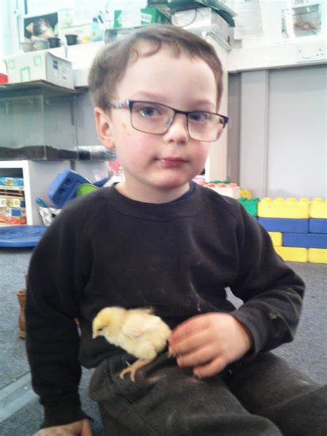We Are Hatching Chicks At Playgroup Day 5 News From The Common