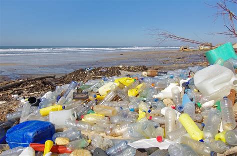 3 Harmful Effects Of Burning Plastic Everyone Must Know