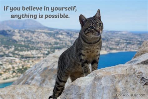Sunday Quotes Believe In Yourself The Conscious Cat