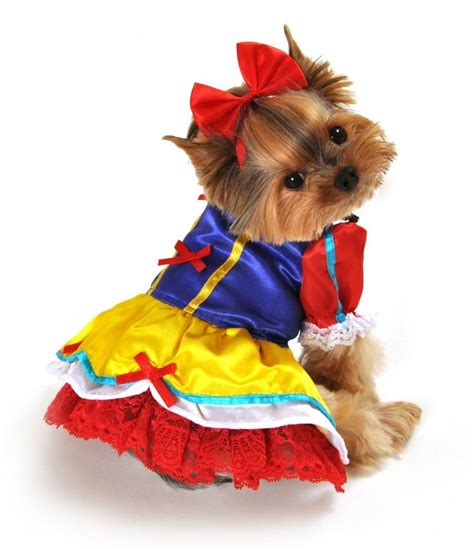 Top 10 Cutest Dog Costumes For Small Dogs Princess Dog