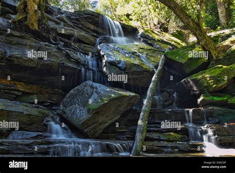 Lush Flowing Water High Resolution Stock Photography And Images Alamy