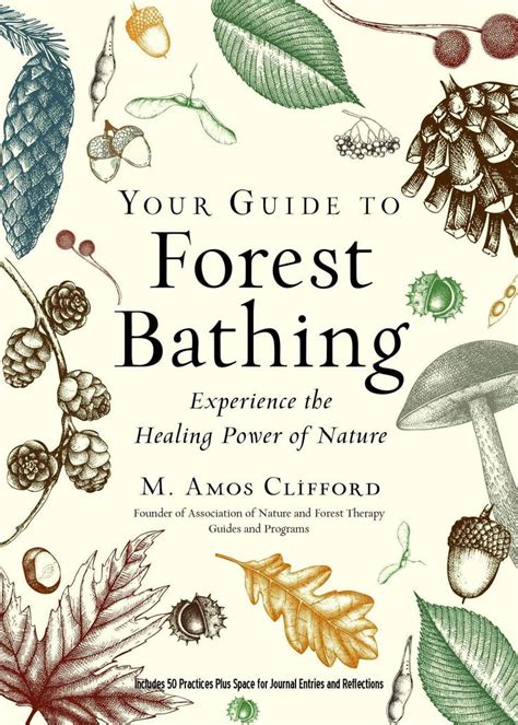 Your Guide To Forest Bathing Expanded Edition Experience The Healing