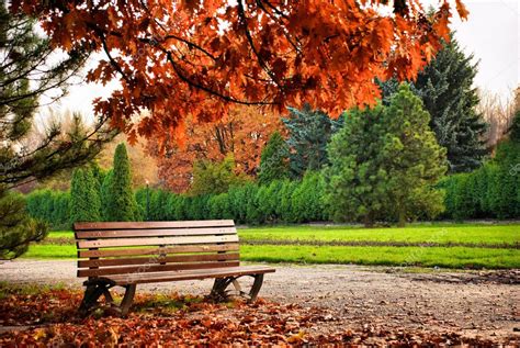 Beautiful Brown Bench In Autumn Park Under Red Tree Stock Photo By