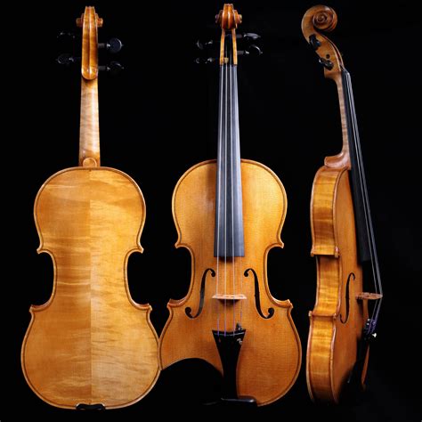 Francesco Pierotti, Cesena Italy, Violin 2020 - Fiddlershop
