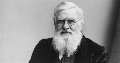 Alfred Russel Wallace A Life In Science Rediscovered Evolution News