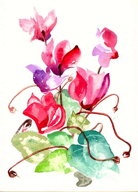 Cyclamen W C Watercolor Flowers Floral Watercolor Flower Painting