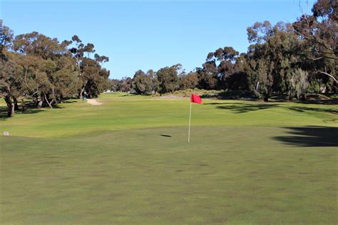 Regency Park Golf Course Ultimate Review Project Golf Australia