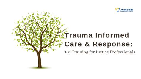 Trauma Informed Care And Response 101 Training For Justice