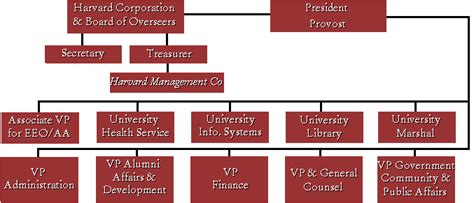 Organizational Chart Harvard Business School Flow Chart Gambaran