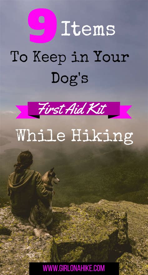 9 Items To Keep In Your Dogs First Aid Kit While Hiking Girl On A