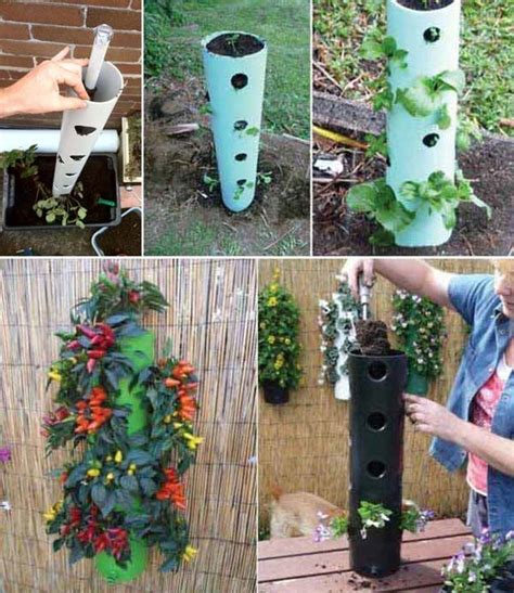 Creative Gardening Ideas With Inexpensive Pvc Pipes