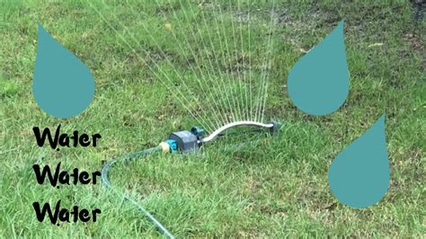 As with overseeding, the ground needs to when reseeding barren areas of your lawn or overseeding to prevent or remedy thinning, you'll need. Fall Lawn Renovation | Watering After Overseeding - YouTube