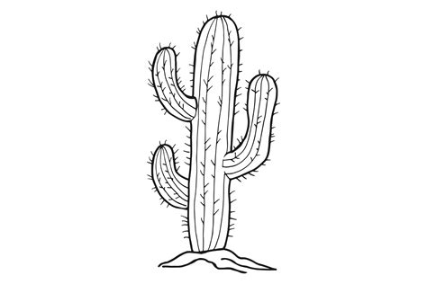 Cactus Sketch Desert Plant With Sharp T Graphic By Onyxproj · Creative