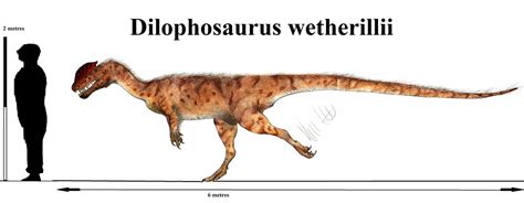 Dilophosaurus Wetherilli By Teratophoneus In 2023 Dilophosaurus