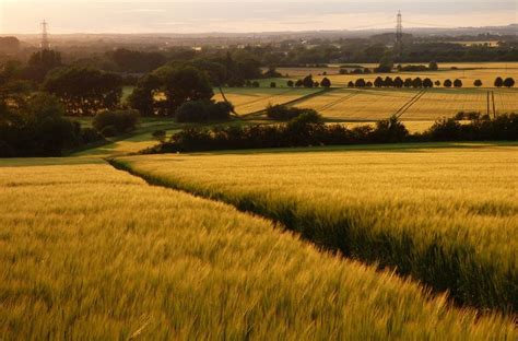 Farmland Buckland © Andrew Smith Geograph Britain And Ireland