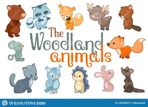 Cute Woodland Animals Animal Character Set Of Vector Illustrations On