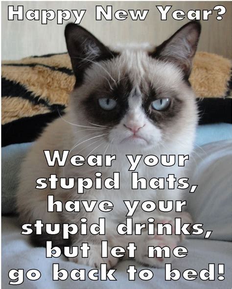17 Best Images About Grumpy Cat New Year On Pinterest