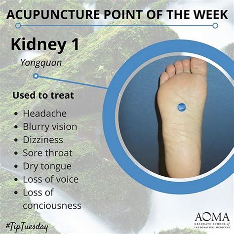 Tiptuesday Acupuncture Point Of The Week Kidney 1 Chinesemedicine