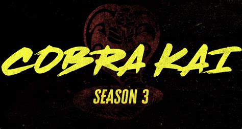 Netflix Announces ‘cobra Kai’ Season 3 Will Premiere Earlier New Stills Cobra Kai Jacob