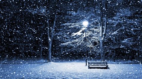 Wallpaper Trees Night Snow Winter Lantern Ice Cold Frost