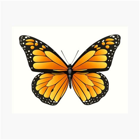 Monarch Butterfly Art Print By Ella Way Monarch Butterflies Art