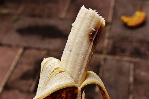 Pin On Banana Of The Day