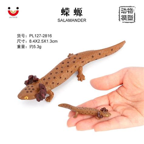 ♞wholesale Manufacturers♞simulation Wild Salamander Animal Model