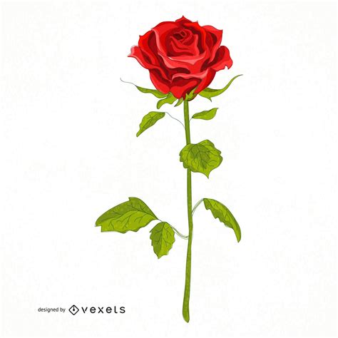 Red Rose Illustration Vector Download
