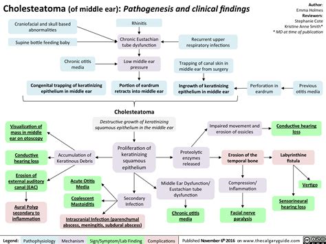 Cholesteatoma Of Middle Ear Pathogenesis And Clinical Findings