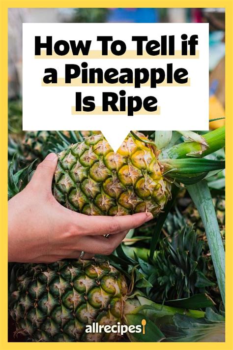 5 Ways To Tell If A Pineapple Is Ripe Pineapple Ripe Pineapple Air