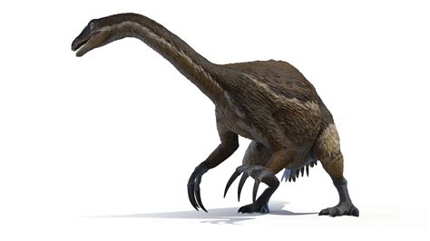 Therizinosaurus Animal Facts Therizinosaurus Cheloniformis A Z Animals