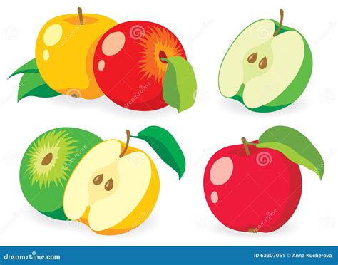Various Vector Apples Stock Vector Illustration Of Assortment 63307051