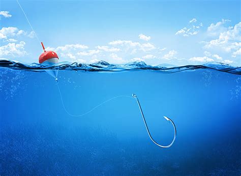 Fishing Hook Underwater Stock Photos Pictures And Royalty Free Images