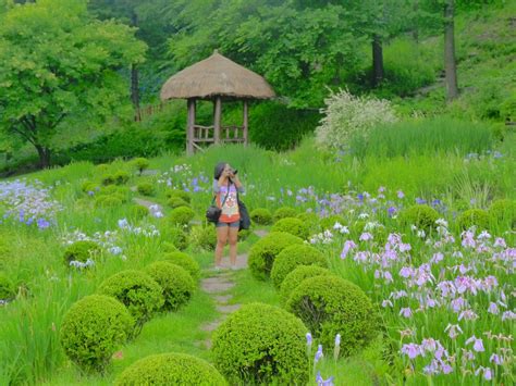 All About Nini South Korea Again The Garden Of Morning Calm