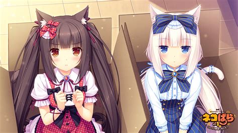 Nekopara Wallpapers Top Free Nekopara Backgrounds Wallpaperaccess