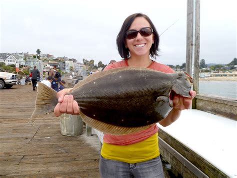 California Halibut Page 2 Of 2 Pier Fishing In California