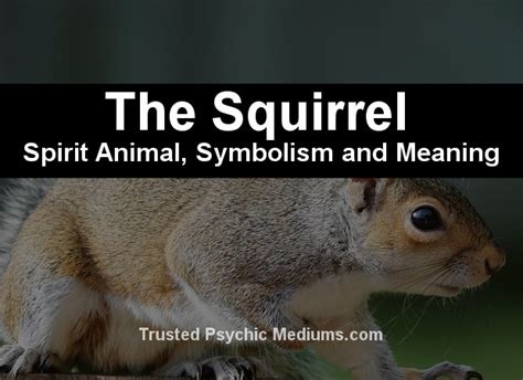 The Squirrel Spirit Animal A Complete Guide To Meaning And Symbolism