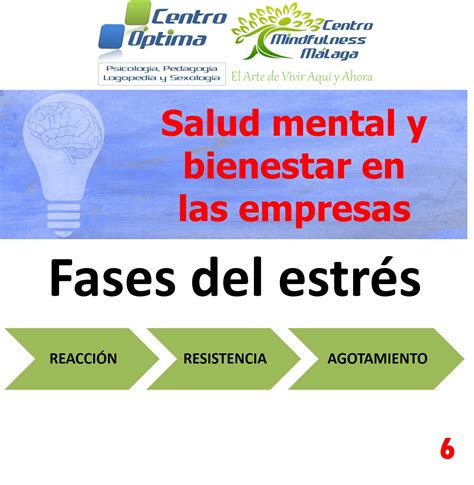 Centro Óptima Salud Mental En Las Empresas 6 Fases Del Estrés