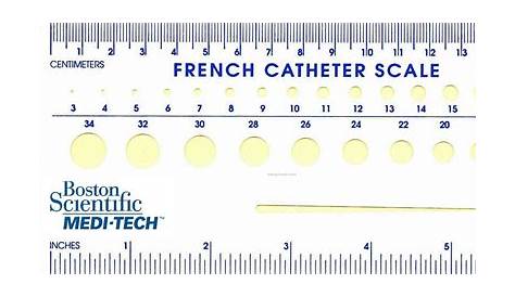 foley catheter french size chart