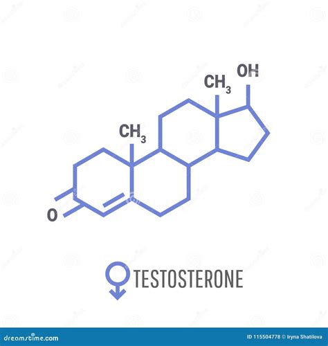 Sex Hormones Laboratory Symbol Hormone Estrogen Testosterone Chemical