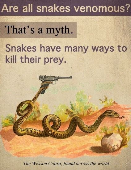 Snek Is Armed Snek Know Your Meme