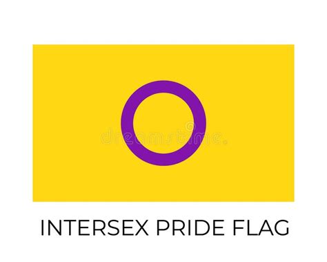 Intersex Pride Flag Symbol Of Lgbt Community Vector Flag Sexual Identity Easy To Edit