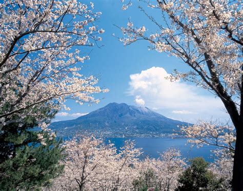 Kagoshima Travel Sakurajima Island Wow U Japan