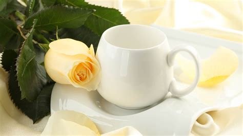 Wallpaper Food Yellow Drink Rose Tea Cup Breakfast Flower
