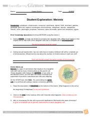 During meiosis, a few chromosomes swap portions of. Student Exploration- Meiosis (ANSWER KEY).docx - Student ...