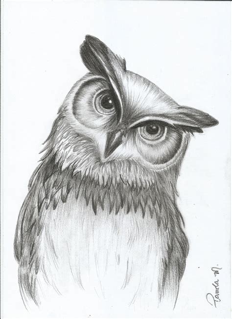 İrem 05307305195 Pencil Drawings Of Animals Art Drawings Sketches