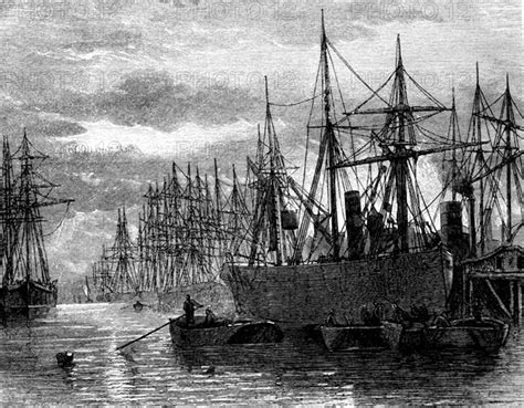 Ships Unloading Coal At The London Docks 19th Century Photo12