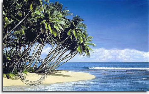 Paradise Island Wall Mural Full Size Large Wall Murals The Mural Store
