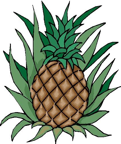 The Pineapple As A Symbol Of Hospitality How Did It Happen
