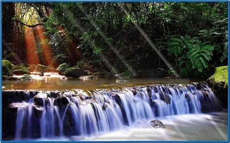 Check spelling or type a new query. Animated waterfalls screensaver windows 7 - Download free